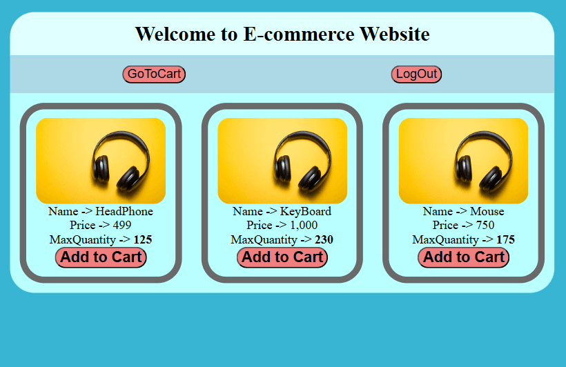 Ecommerce Website