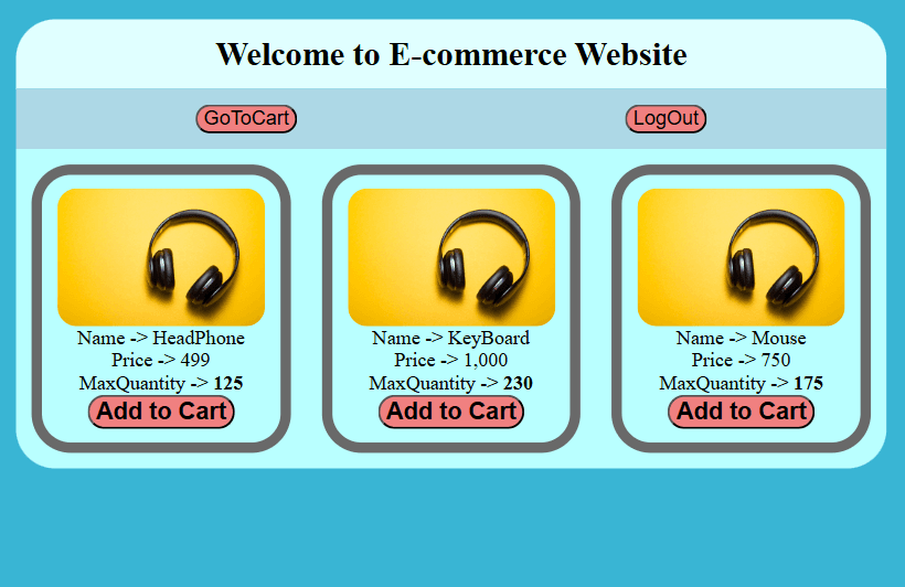 Ecommerce Website